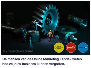 LeadIn van Online Marketing Fabriek