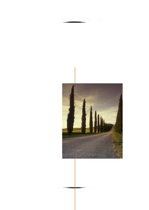 MONOGRAFÍA: EL ALCOHOLISMO