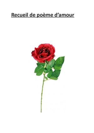 Exposé De Francais Sur Les Poèmes