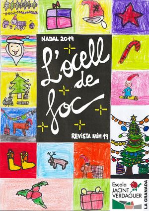 Ocell de foc número 19