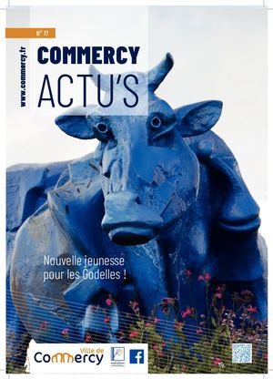 Commercy Actu's 17
