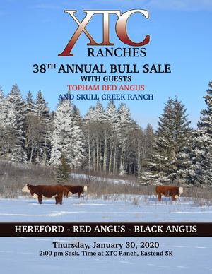 2020 XTC Sale  Catalogue