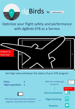20191219 Dg Birds Brochure Pilotes Fond Bleu