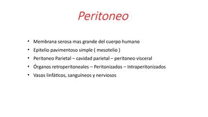 Peritoneo