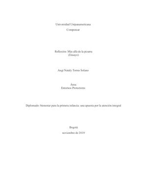 Ensayo Más Allá De Una Pizarrara