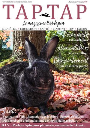 Tap-Tap AUTOMNE/HIVER 2019