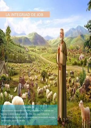 Libro De La Integridad De Job