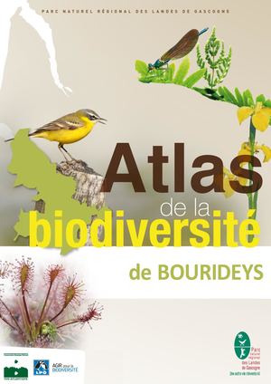 ABC BOURIDEYS 2016-2017