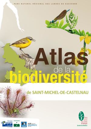 ABC SAINT MICHEL DE CASTELNAU 2014-2015