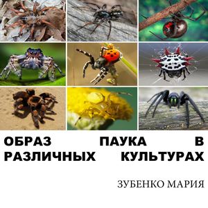 Образ паука в различных культурах