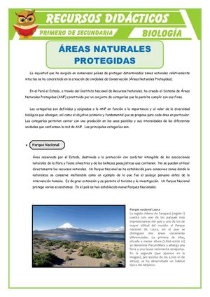 Áreas Naturales Protegidas Para Primero De Secundaria