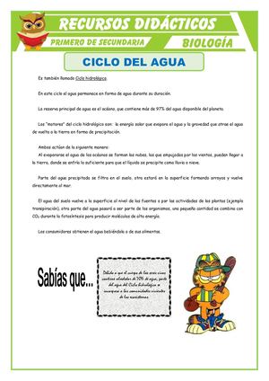 Ciclo Del Agua Para Primero De Secundaria