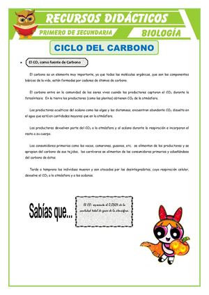Ciclo Del Carbono Para Primero De Secundaria