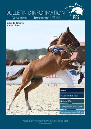 Bulletin d'information novembre - décembre 2019