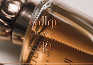 Paysage Ghawali Brandbook