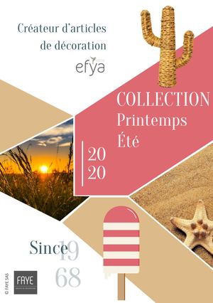 Faye Sas Plaquette M&o Janvier 2020