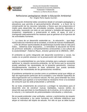 Reflexiones Pedagógicas Desde La Educación Ambiental