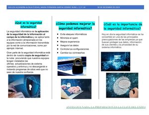 Folleto De Seguridad Informatica