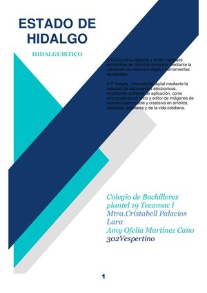 Estado De Hidalgo Oficial 1