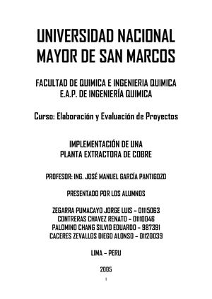 2005 - IMPLEMENTACIÓN DE UNA PLANTA EXTRACTORA DE COBRE