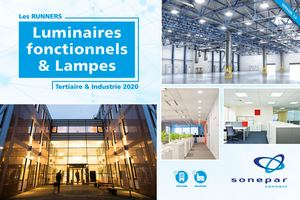 Selection Les Runners Luminaires Fonctionnels Et Lampes Tertiaire Et Industrie 2020 Sonepar Connect Interactif