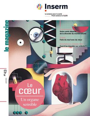 Magazine de l'Inserm n°43 - Le cœur, un organe sensible