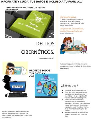 Portada Delitos Ciberneticos