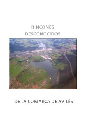 Elementos desconocidos de la comarca de Avilés