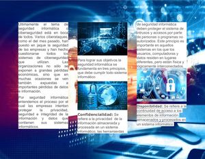 Folleto Importancia De La Seguridad Imformatica