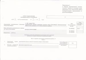 Муниципальное задание Отчет 2019