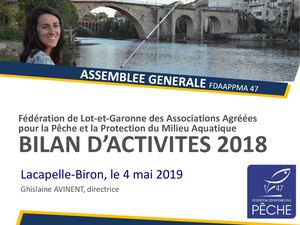 2019 FD 47 Bilan Activités AG
