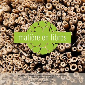 20140923b AV Memoire DSA Matiere En Fibres