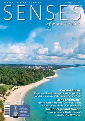 Senses JAN/FEB/MAR 2020