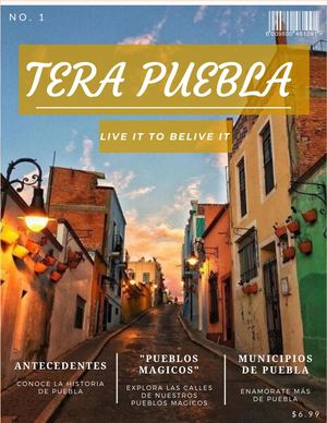 Revista Tera Puebla