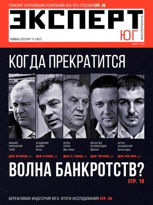 Эксперт Юг №11