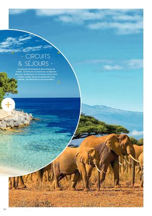 Perspectives Ete 2020 Circuits Et Sejours