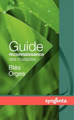 Guide reconnaissance des maladies céréales