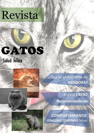 Revista Gatos - Salud Felina