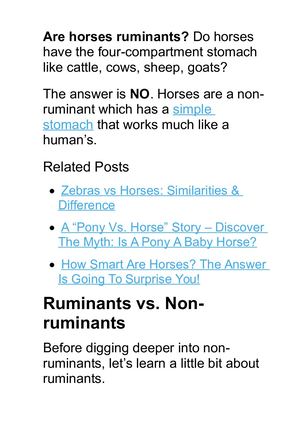 Are Horses Ruminants Or Non Ruminants?