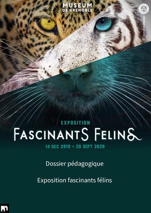 Dossier Pédagogique Expo Fascinants Félins 2020