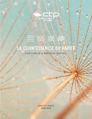 Rapport Annuel CTP - 2018 (Français)