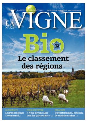 La Vigne Feuilletage N°326