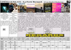 Programme cinéma du 22 au 28 janvier