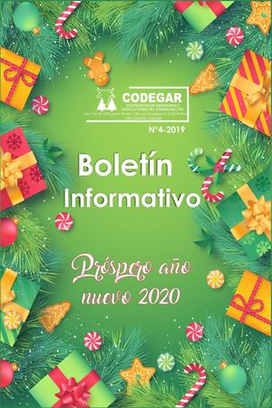 Boletin Informativo Navidad 2019