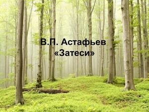 Работа по тексту Колышева ЕЮ.