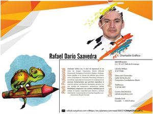 Hoja De Vida Diseñador