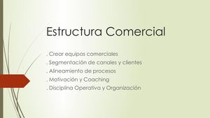 Estructura Comercial