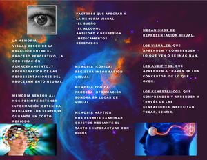 La Memoria Visual Describe La Relación Entre El Proceso Perceptivo, La Codificación, Almacenamiento, Y Recuperación De Las Representaciones Del Procesamiento Neural