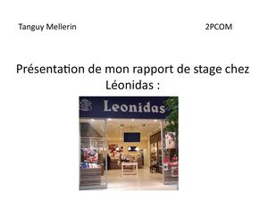 Oral Rapport De Stage
