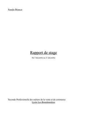 Rapport De Stage 2019